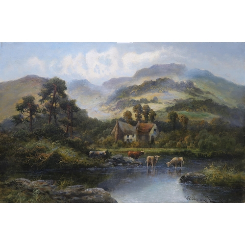 969 - WILLIAM LANGLEY Highland cattle grazing in a loch, signed, oil on canvas, (a pair), 40 x 61cm... 