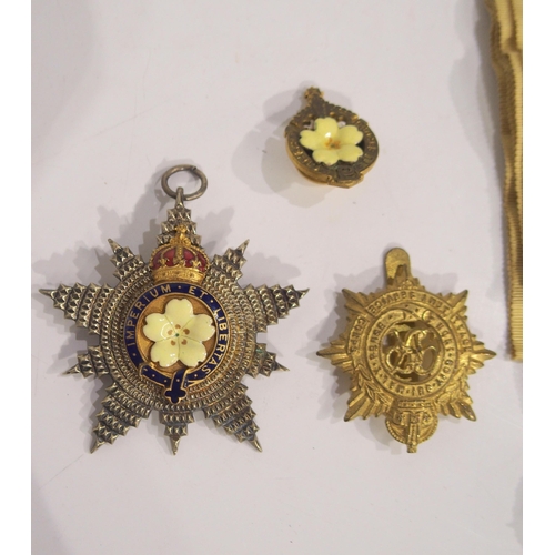 507 - A Primrose League medal and lapel button together with a Royal Army Service Corps badge