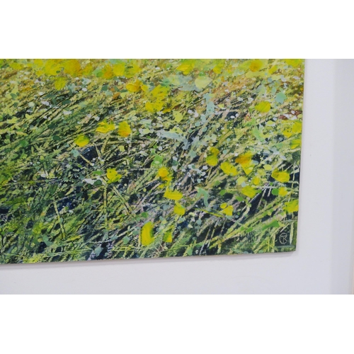 826 - CARRIE TAYLOR (CORNISH CONTEMPORARY) SKIMMING THE MEADOW, SUMMER EVENINGOil on mounted board, s... 