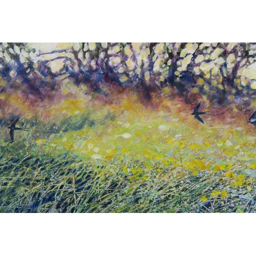 826 - CARRIE TAYLOR (CORNISH CONTEMPORARY) SKIMMING THE MEADOW, SUMMER EVENINGOil on mounted board, s... 