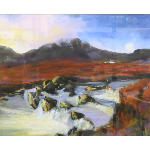 838A - DOREEN WILLIAMS (SCOTTISH)SUNSET ON SKYEAcrylic on canvas, signed lower right, 49 x 58cm T... 