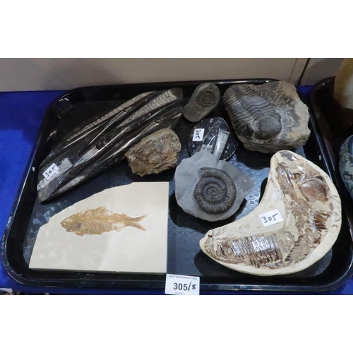 305 - A collection of assorted fossils including ammonites, fish, trilobite etc