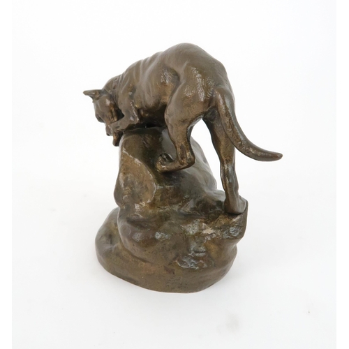 154 - AFTER CLOVIS-EDMOND MASSON (1838-1913)a bronze of a dog hunting a rabbit, 10.2cm high... 