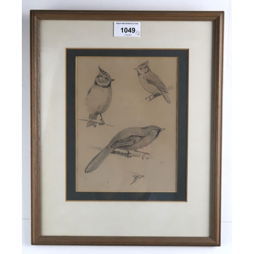 1049 - ATTRIBUTED TO ARCHIBALD THORBURN (SCOTTISH 1860-1935)STUDY OF BIRDS PERCHED ON A BRANCHWatercolour h... 