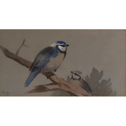 1049 - ATTRIBUTED TO ARCHIBALD THORBURN (SCOTTISH 1860-1935)STUDY OF BIRDS PERCHED ON A BRANCHWatercolour h... 