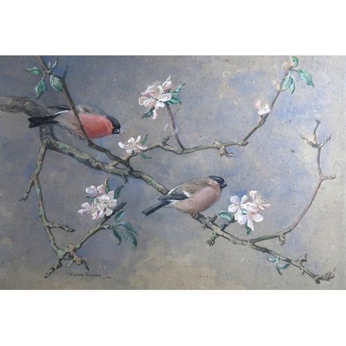 1051 - JOHN MURRAY THOMSON RSA RSW PSSA (SCOTTISH 1885-1974)TWO BUILLFINCHES PERCHED ON BRANCHESWatercolour... 