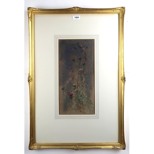 1064 - EDWIN JOHN ALEXANDER RSA RSW RWS (SCOTTISH 1870-1926)KNAPWEEDWatercolour and gouache on paper, signe... 