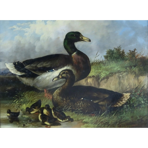 1103 - E BARNES (BRITISH 19TH CENTURY)PAIR OF DUCKS WITH DUCKLINGSOil on panel board, signed and dated 1868... 