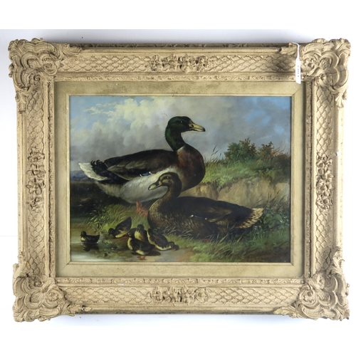 1103 - E BARNES (BRITISH 19TH CENTURY)PAIR OF DUCKS WITH DUCKLINGSOil on panel board, signed and dated 1868... 