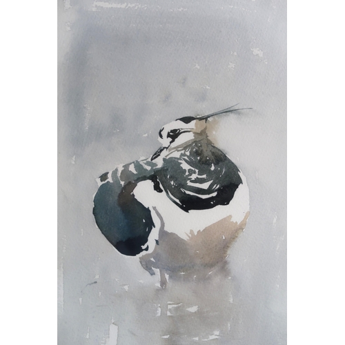 1112 - DARREN WOODHEAD SWLA (SCOTTISH CONTEMPORARY b.1971) LAPWING Watercolour, signed lower right, indisti... 