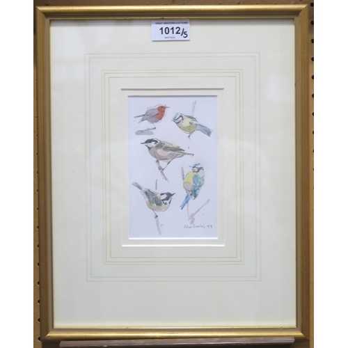 1012 - JOHN BUSBY RSA RSW SWLA (SCOTTISH 1928-2015)BIRD STUDIES Graphite and watercolour, signed lower... 