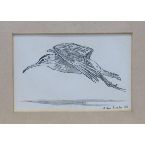 1012 - JOHN BUSBY RSA RSW SWLA (SCOTTISH 1928-2015)BIRD STUDIES Graphite and watercolour, signed lower... 