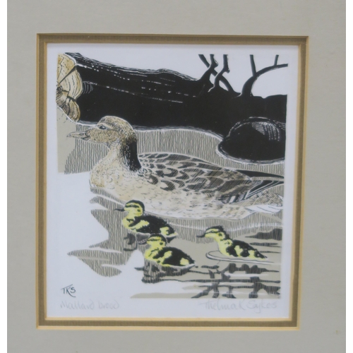 1012 - JOHN BUSBY RSA RSW SWLA (SCOTTISH 1928-2015)BIRD STUDIES Graphite and watercolour, signed lower... 