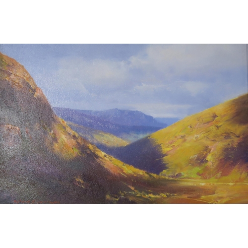 971 - ROBERT SIMPSON Evening Light, Glencoe, signed, oil on board, 31 x 47cm 