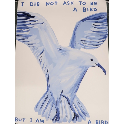 1146A - DAVID SHRIGLEY (BRITISH B. 1968)