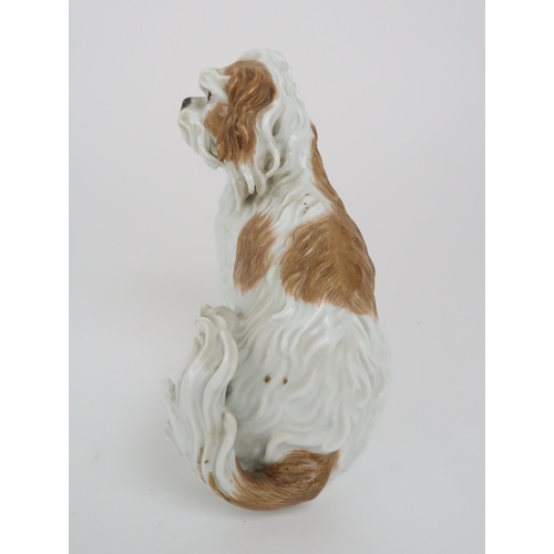 329 - A 19TH CENTURY MEISSEN FIGURE OF A BOLOGNESE TERRIER