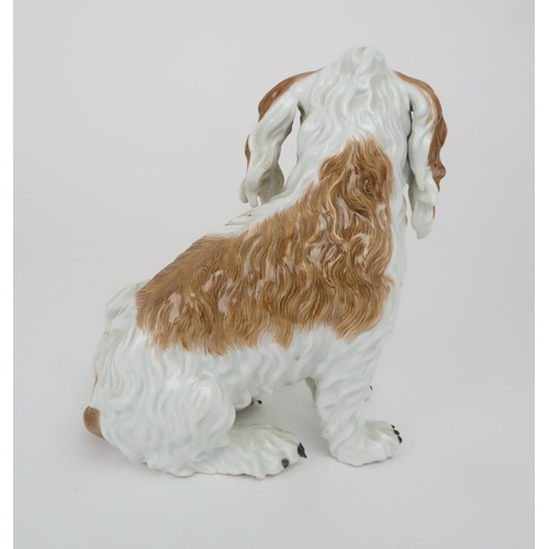 329 - A 19TH CENTURY MEISSEN FIGURE OF A BOLOGNESE TERRIER