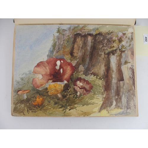 492 - LADY BERTA de BUNSEN: AN ALBUM OF THIRTY-FOUR WATERCOLOURS FROM 1890-91