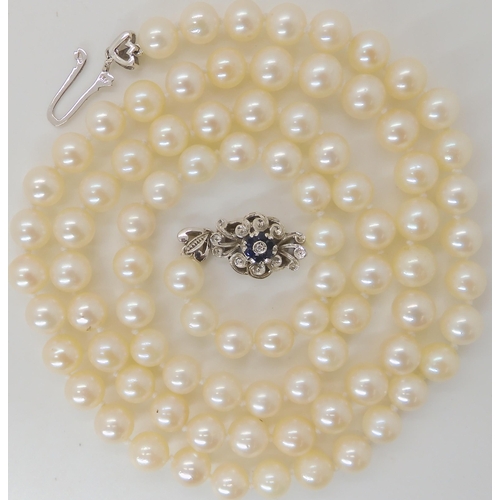 712 - AN OPERA LENGTH OF PEARLS WITH AN 18CT SAPPHIRE AND DIAMOND CLASP