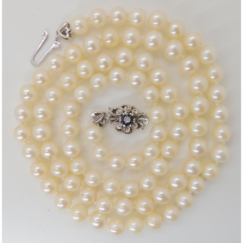 712 - AN OPERA LENGTH OF PEARLS WITH AN 18CT SAPPHIRE AND DIAMOND CLASP