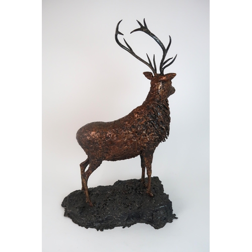 295 - BRUCE WEIR - THE STAG