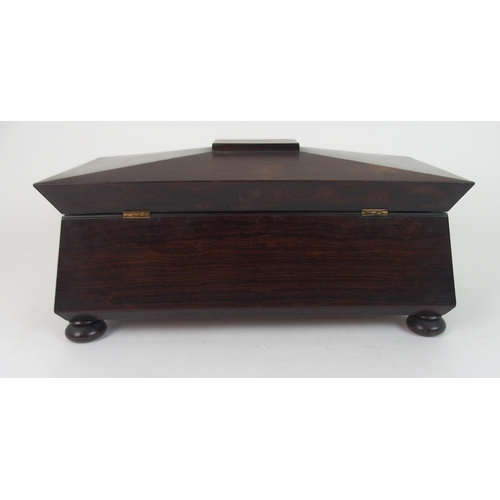 367 - A LARGE SARCOPHAGUS ROSEWOOD TWO DIVISION TEA CADDY