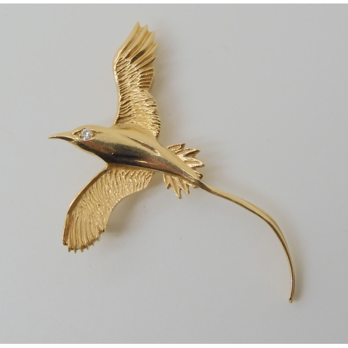 576 - A 14K GOLD BERMUDIAN LONGTAIL BIRD BROOCH