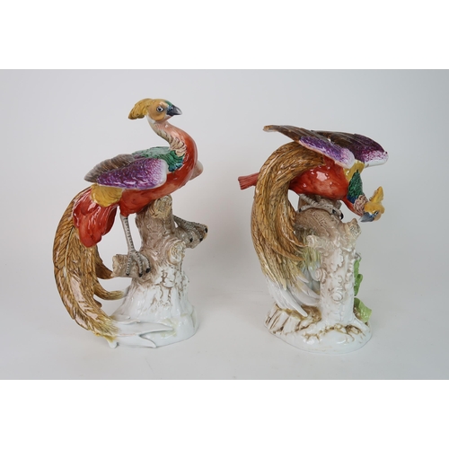 316 - A PAIR OF HARD PASTE PORCELAIN EXOTIC BIRDS