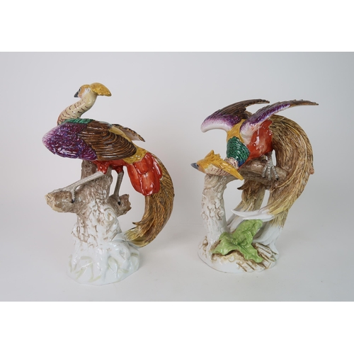 316 - A PAIR OF HARD PASTE PORCELAIN EXOTIC BIRDS