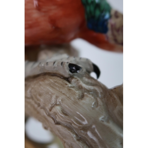 316 - A PAIR OF HARD PASTE PORCELAIN EXOTIC BIRDS