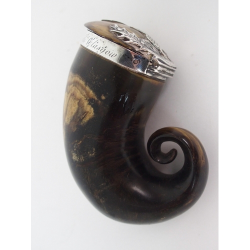 734 - A RAM'S HORN SNUFF MULL