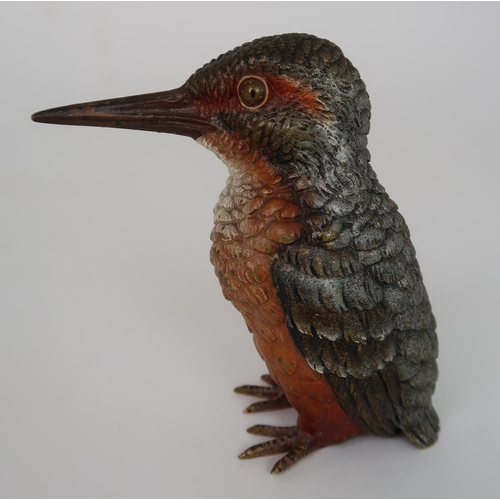 258 - AN EARLY 20TH CENTURY COLD PAINTED BRONZE OF A KINGFISHER