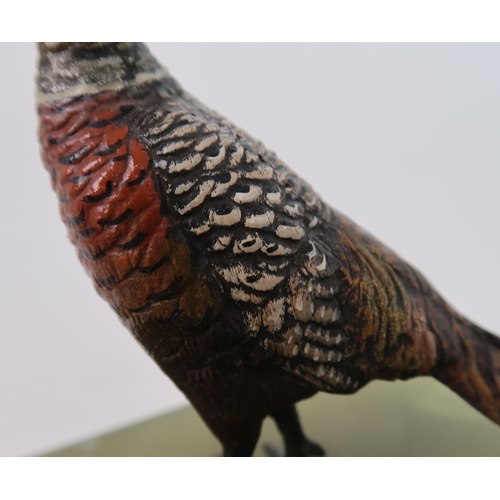 260 - A COLD PAINTED BRONZE PHEASANT