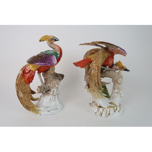 316 - A PAIR OF HARD PASTE PORCELAIN EXOTIC BIRDS