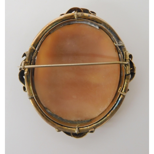 509 - A YELLOW METAL MOUNTED LARGE SHELL CAMEO