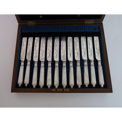 745 - A CASED TWENTY FOUR PIECE SILVER AND MOTHER OF PEARL FRUIT CUTLERY SET