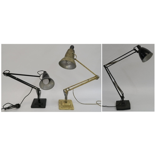 117 - A HERBERT TERRY ANGLEPOISE LAMP