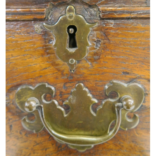 65 - A 17TH CENTURY STYLE OAK PANELLED CHEST