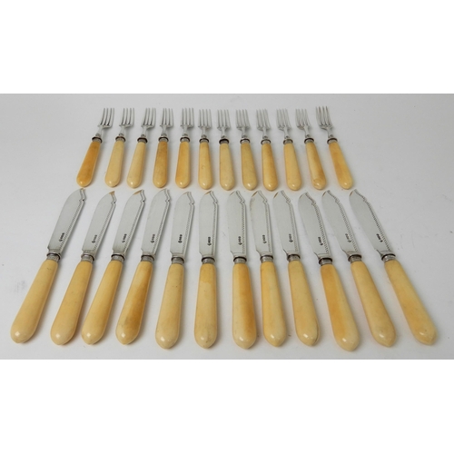 260 - A TWENTY FOUR PIECE SILVER AND BONE HANDLED FISH CUTLERY SET