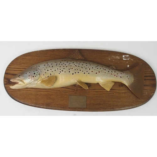 486 - A MODERN RESIN BROWN TROUT