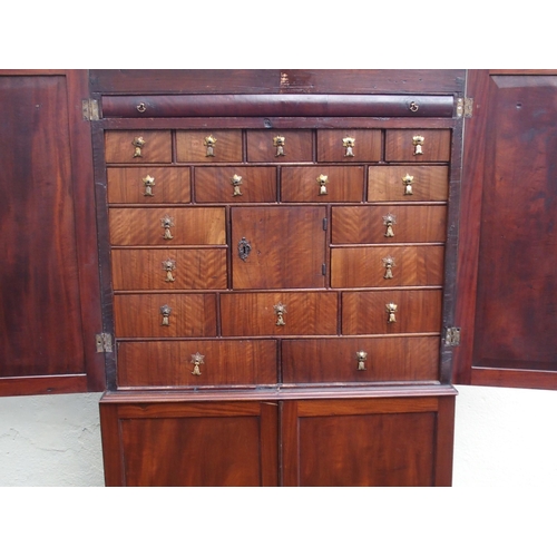 79 - A 19TH CENTURY MAHOGANY COLLECTORS CABINET