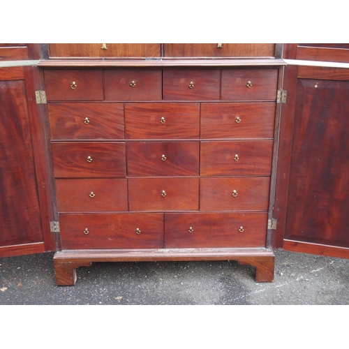 79 - A 19TH CENTURY MAHOGANY COLLECTORS CABINET