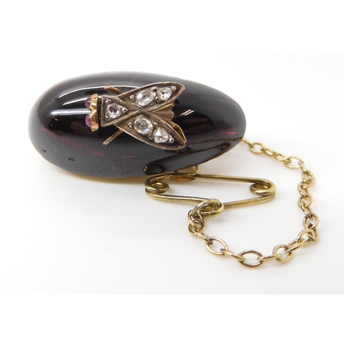 603 - A VICTORIAN GARNET AND DIAMOND SET FLY BROOCH