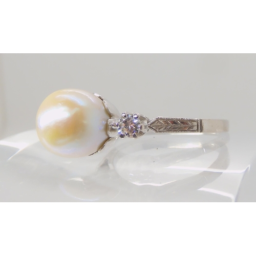 635 - AN 18CT WHITE GOLD PEARL AND DIAMOND RING