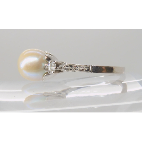 635 - AN 18CT WHITE GOLD PEARL AND DIAMOND RING