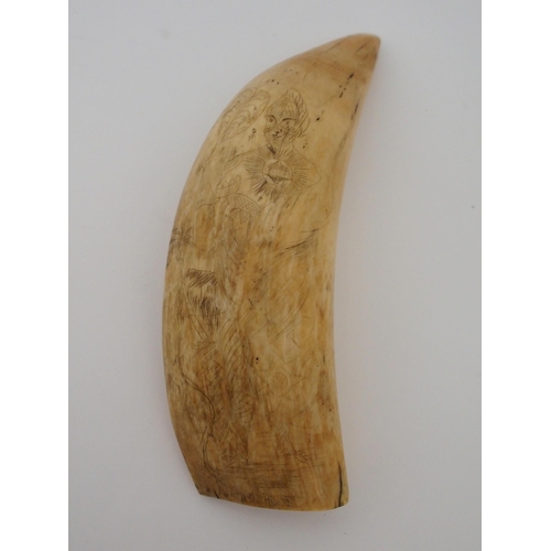 117 - A SPERM WHALE TOOTH SCRIMSHAW