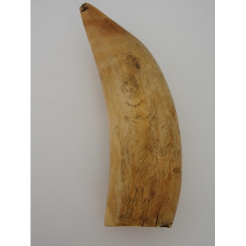 117 - A SPERM WHALE TOOTH SCRIMSHAW