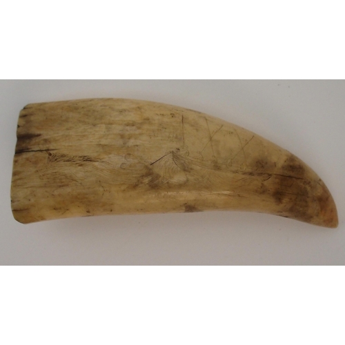 117 - A SPERM WHALE TOOTH SCRIMSHAW