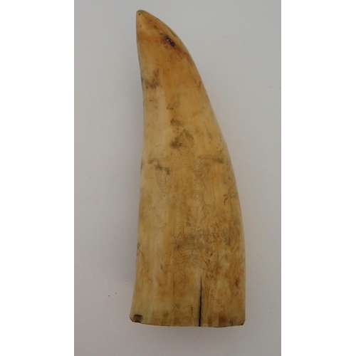 117 - A SPERM WHALE TOOTH SCRIMSHAW