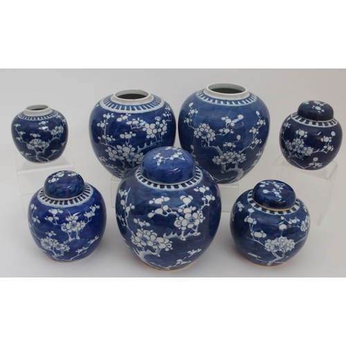 119 - SEVEN CHINESE BLUE AND WHITE GINGER JARS